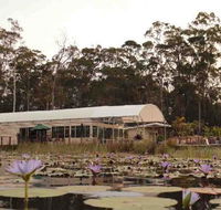 Abundance Cafe and Garden Centre - Surfers Gold Coast