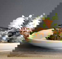 Daark Espresso Bar - Surfers Gold Coast