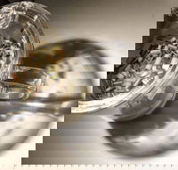 T Totaler - Newtown - Surfers Gold Coast