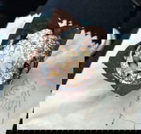 8th Nerve Cafe - Surfers Gold Coast