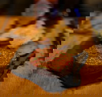 Hell of the North - Surfers Gold Coast