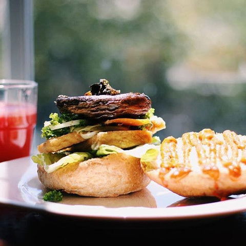 Lentil As Anything - Surfers Gold Coast 0