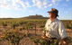 Sally's Paddock At Redbank Winery - thumb 2