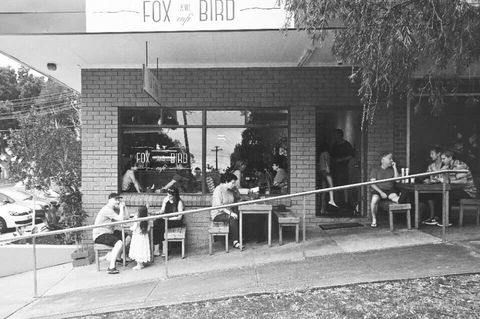 Fox And Bird Cafe - Surfers Gold Coast 0