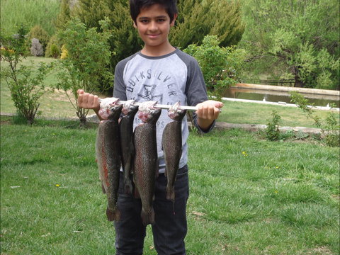 Eucumbene Trout Farm - Surfers Gold Coast 1