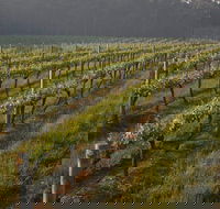 Cape Grace Wines - Surfers Gold Coast