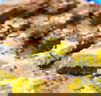 Charlie's Raw Squeeze - Greenslopes - Surfers Gold Coast