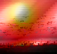 Good Thanks - Surfers Gold Coast