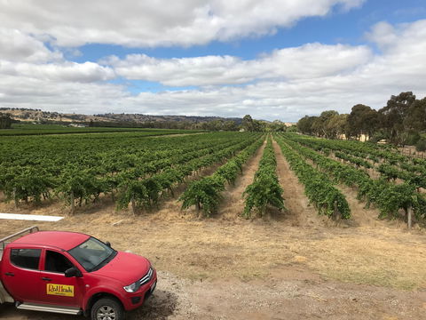 RedHeads Wine - Surfers Gold Coast 1