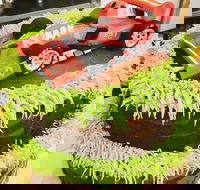 Runaway Cupcakes - Surfers Gold Coast