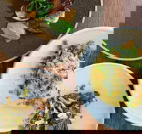 Silica Restaurant and Bar - Surfers Gold Coast