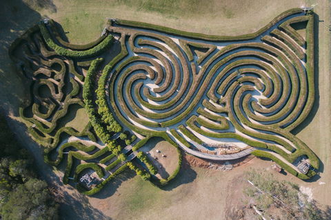 Bago Maze And Wine - Surfers Gold Coast 0