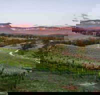 Dryridge Estate - Surfers Gold Coast
