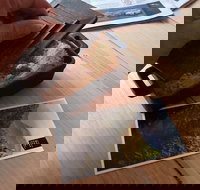 Story So Far - Surfers Gold Coast