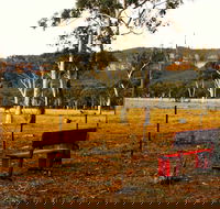 The Megalong Valley Tearooms - Surfers Gold Coast