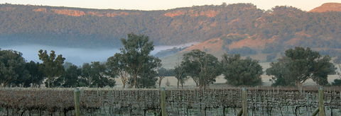 Wilksch Estate Wines - Surfers Gold Coast 0