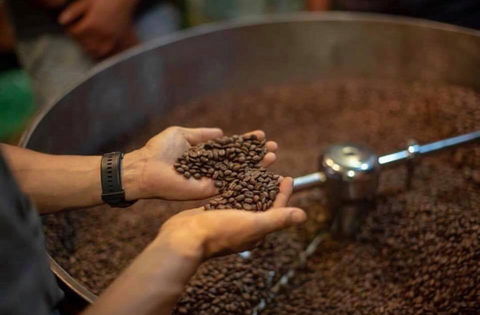 Yahava Koffeeworks - West Swan - Surfers Gold Coast 0