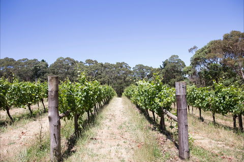 Mount Macedon Winery - Surfers Gold Coast 1