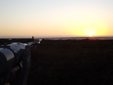 Sunsets Cafe And Restaurant - Surfers Gold Coast 1