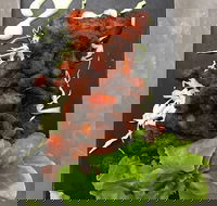 Royal India Restobar - Surfers Gold Coast