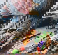 The Glass Den - Surfers Gold Coast