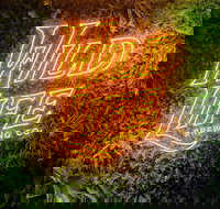 Wild Life Brewing Co. - Surfers Gold Coast