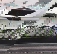 Basia Mille - Surfers Gold Coast