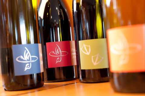 Puddleduck Vineyard - Surfers Gold Coast 2
