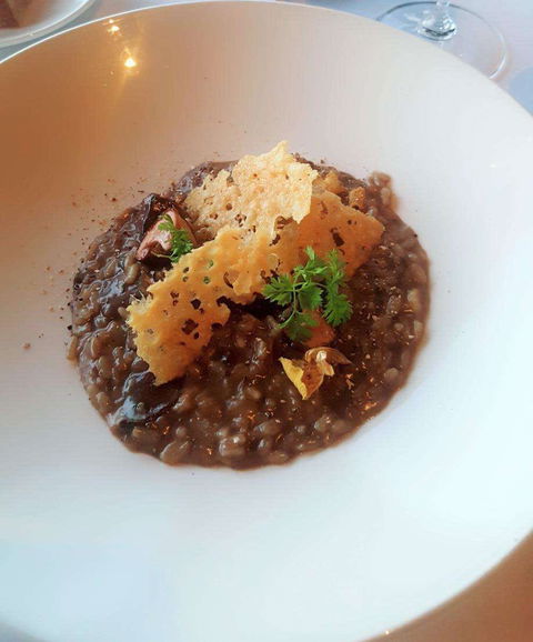 Wild Dog Restaurant - Surfers Gold Coast 0