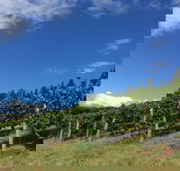 Freycinet Vineyard - Surfers Gold Coast