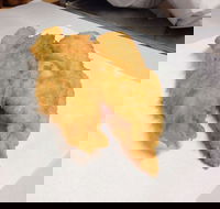 Hooked and Cooked Fish and Chips - Surfers Gold Coast