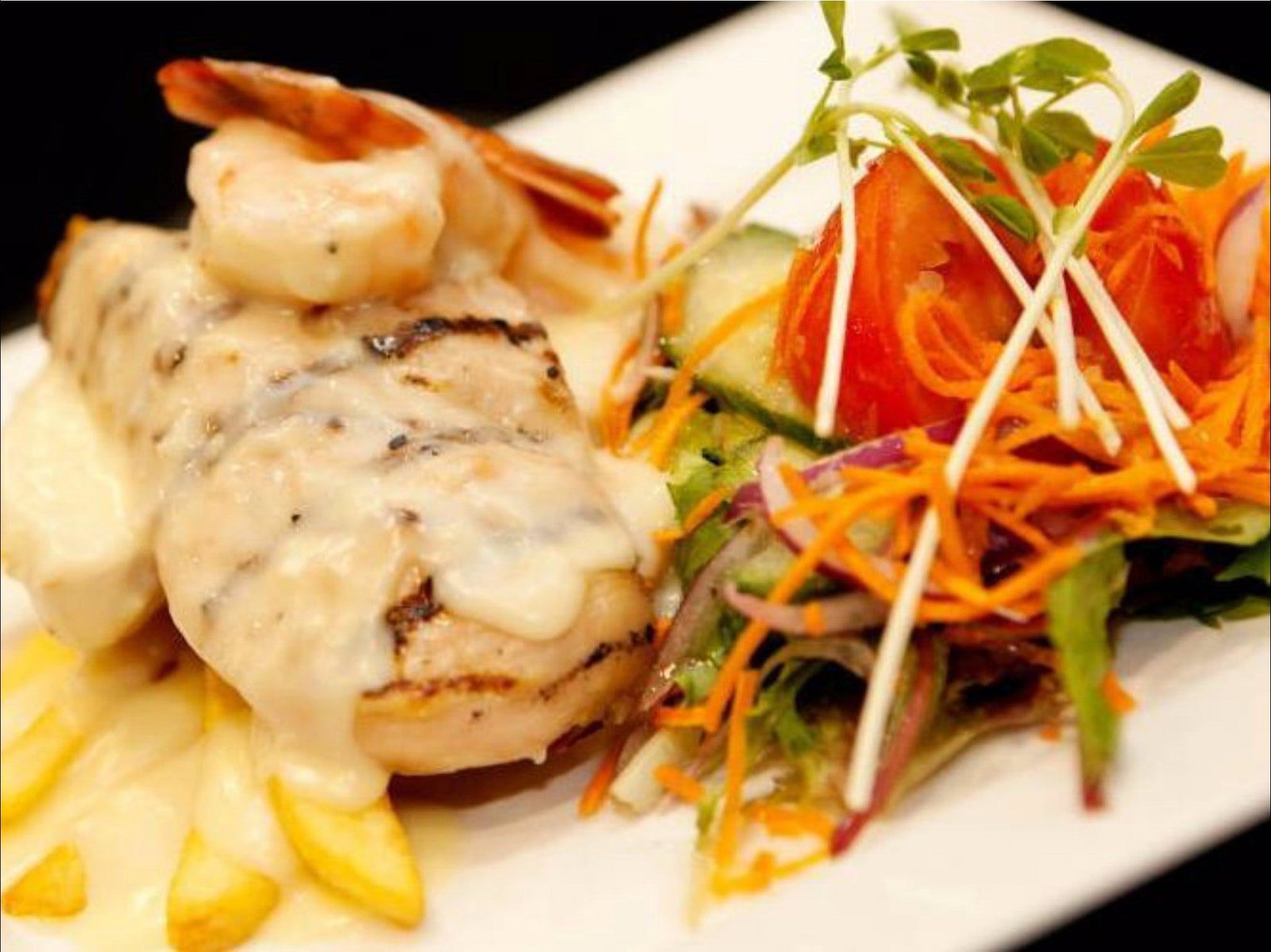 Chatham NSW Surfers Gold Coast