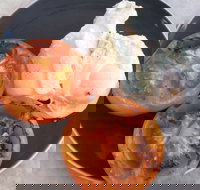 The Deck Poolside Bar  Restaurant - Surfers Gold Coast