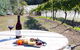 Every Man And His Dog Vineyard - thumb 1