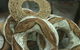 Uncle Bob's Bakery - Belmont - thumb 0