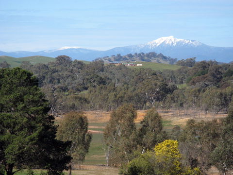 Chocolaterie RenMar - Surfers Gold Coast 1
