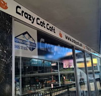 Crazy Cat Cafe - Surfers Gold Coast