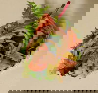 MM Fish  Chips - Surfers Gold Coast