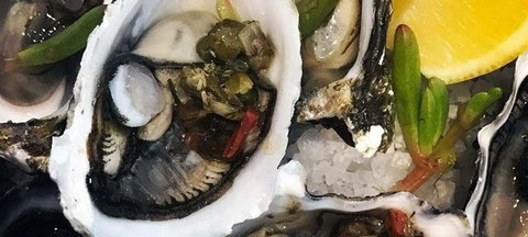 The River Deck - Surfers Gold Coast 0