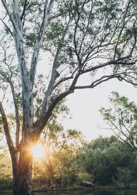 The River Deck - Surfers Gold Coast 27