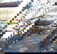 The Terrace Thai - Surfers Gold Coast