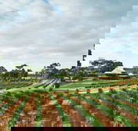 Vasse Felix Winery - Surfers Gold Coast