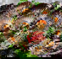 Anam Restaurant - Surfers Gold Coast