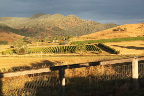 Optimiste Wines - Surfers Gold Coast 0