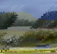 The Alchemist - Surfers Gold Coast