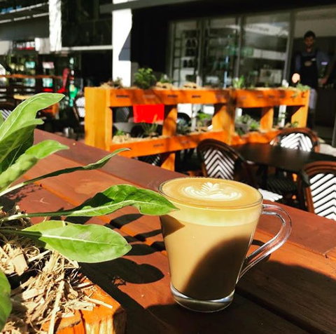 Apothecafe - Surfers Gold Coast 0