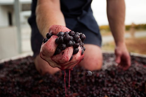 Tomfoolery Wines - Surfers Gold Coast 0