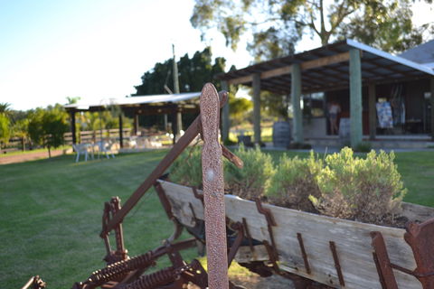 Ugly Duckling Wines - Surfers Gold Coast 0