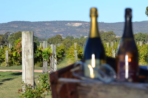Ugly Duckling Wines - Surfers Gold Coast 1