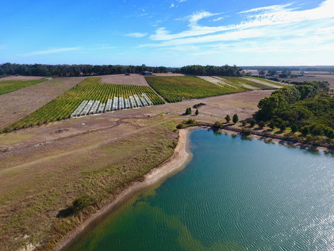 Victory Point Wines - Surfers Gold Coast 1